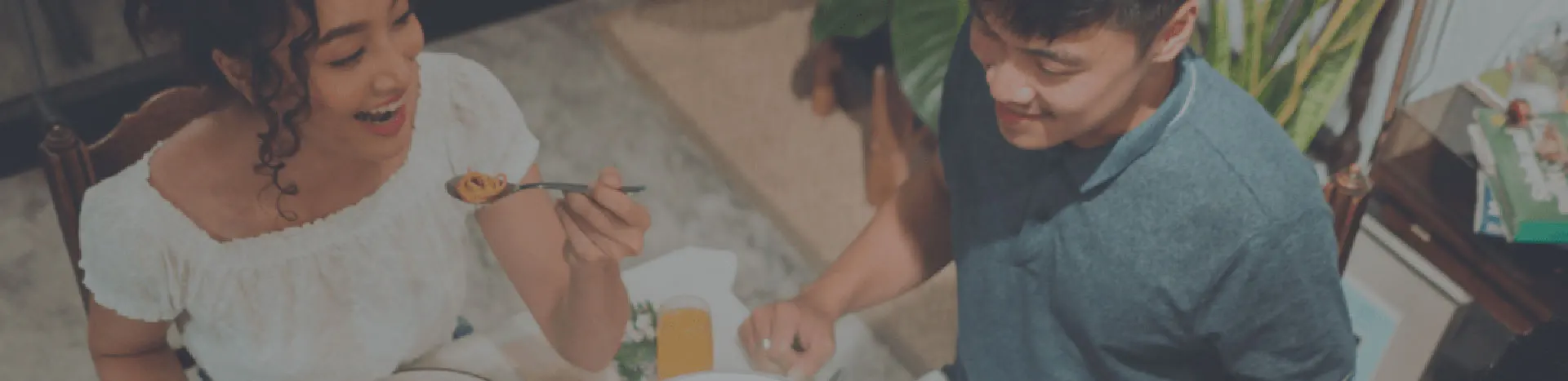 indoguna vina products