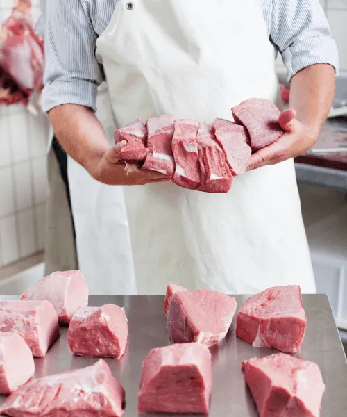 indoguna.vina partnership